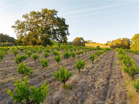 Other - 3750 W Highway 46, Templeton, CA 93465 photo 20 of 21