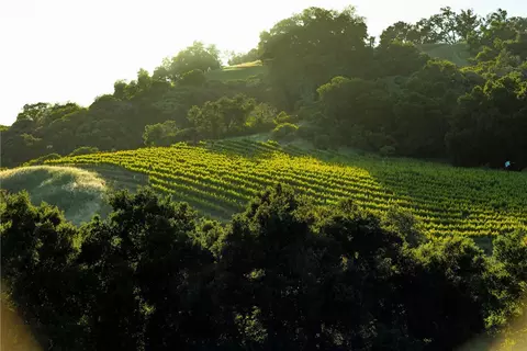 0 Adelaida Rd, Paso Robles, CA 93446 photo 4