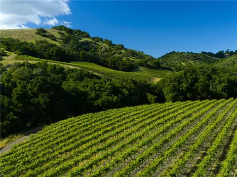 0 Adelaida Rd, Paso Robles, CA 93446 photo 6