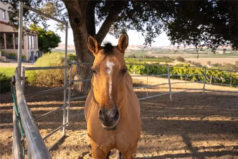 Other - 7010 Wilderness Ln, Paso Robles, CA 93446 photo 14 of 33