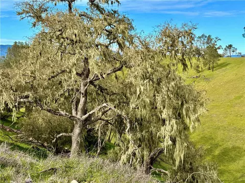 3260 Timberline Dr, Paso Robles, CA 93446 photo 6
