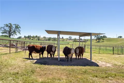 Other - 5385 Camp 8, Paso Robles, CA 93446 photo 18 of 27