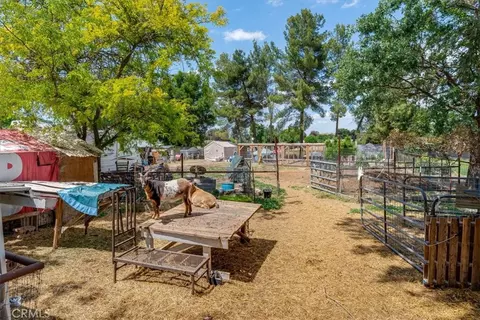 Exterior - 7835 Blue Moon Rd, Paso Robles, CA 93446 photo 12 of 16