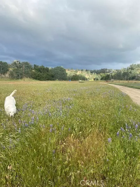 1575 Parkhill Rd, Santa Margarita, CA 93453