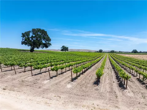 Other - 5275 Camp 8 Rd, Paso Robles, CA 93446 photo 9 of 14