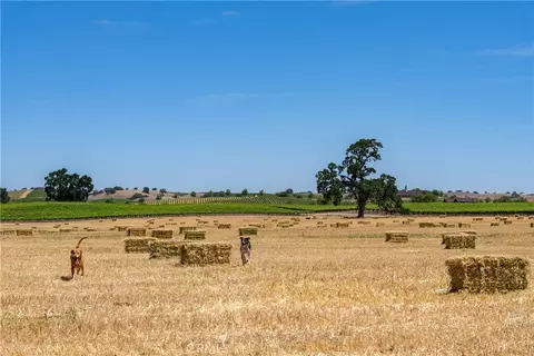 Other - 5275 Camp 8 Rd, Paso Robles, CA 93446 photo 2 of 14