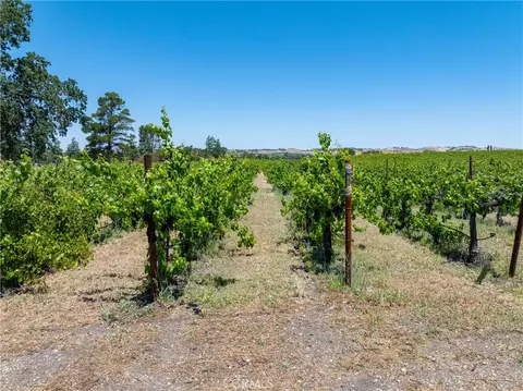 175 White Hawk, Templeton, CA 93465 photo 16