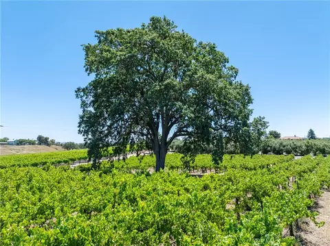 175 White Hawk, Templeton, CA 93465 photo 24