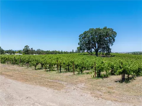 175 White Hawk, Templeton, CA 93465 photo 18