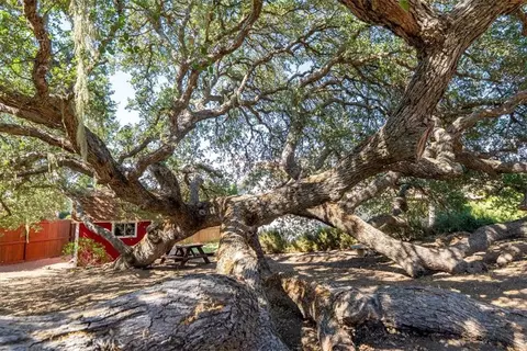 676 Red Cloud, Paso Robles, CA 93446 photo 45