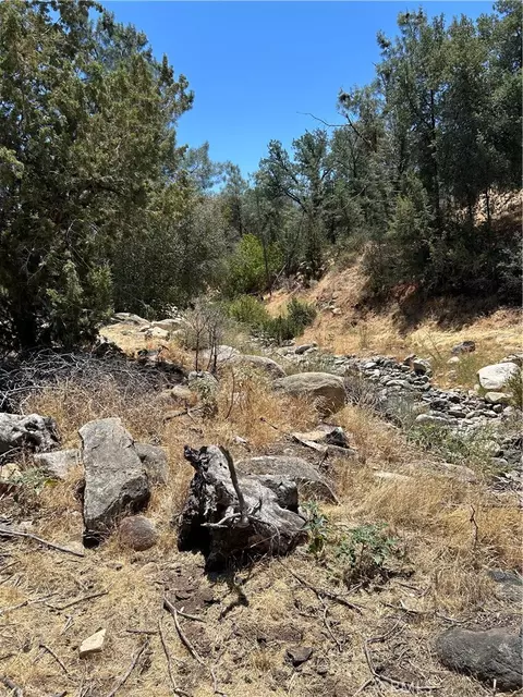 Other - 248 Bodfish Cyn, Bodfish, CA 93205 photo 3 of 8