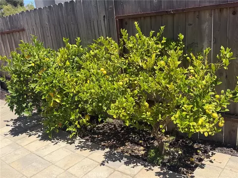 Exterior - 148 Galaxy, Vandenberg Village, CA 93436 photo 20 of 22