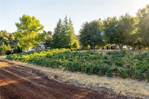 2925 Anderson Rd, Paso Robles, CA 93446 photo 24