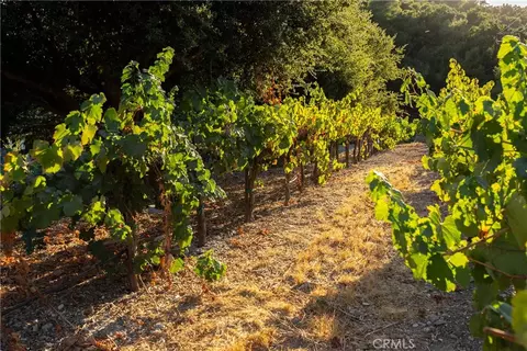 2925 Anderson Rd, Paso Robles, CA 93446 photo 27