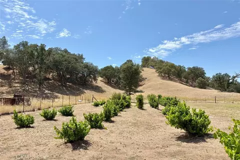 Exterior - 49460 Sapaque Rd, Bradley, CA 93426 photo 16 of 19