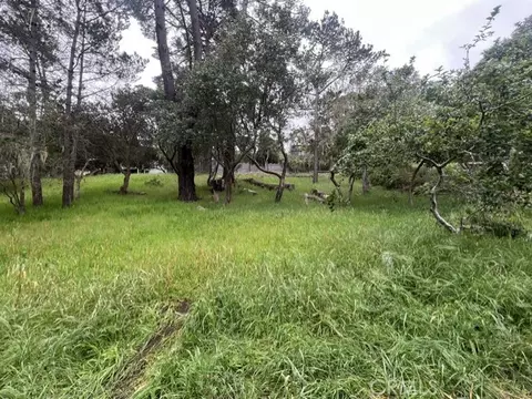 0 Mills, Cambria, CA 93428 photo 5