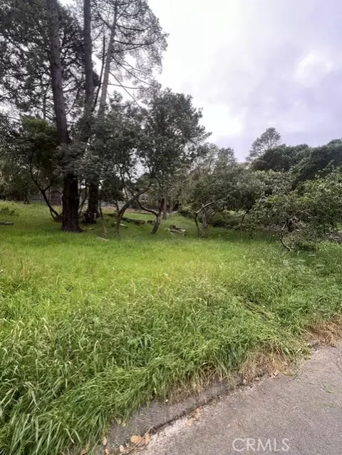 0 Mills, Cambria, CA 93428 photo 4