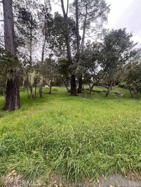 0 Mills, Cambria, CA 93428 photo 3