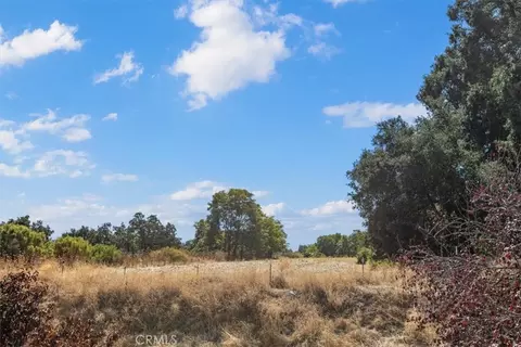 0 Vine, Paso Robles, CA 93446 photo 11