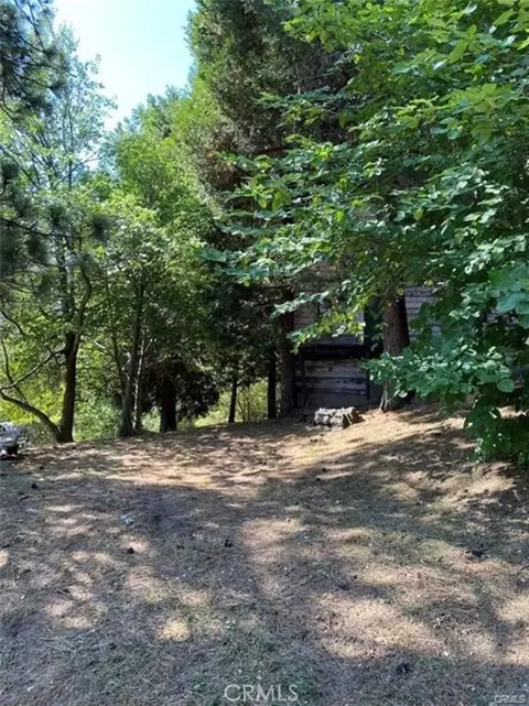0 Pine Dr, Cedarpines Park, CA 92322