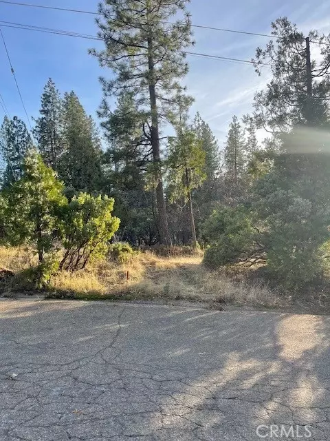 6172 Shad Way, Pollock Pines, CA 95726