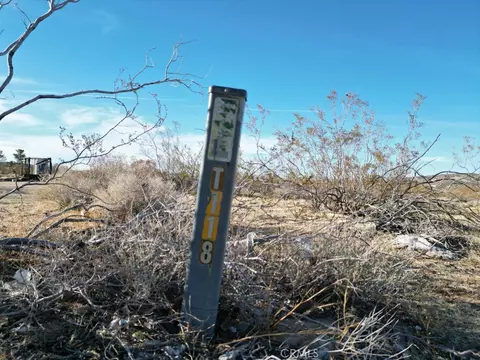 57186 Karol Rd, Landers, CA 92285 photo 5