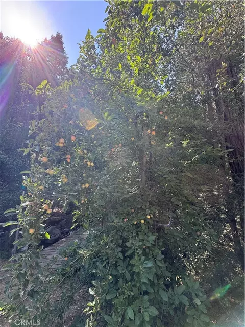 Other - 45583 Poso Park Dr, Posey, CA 93260 photo 6 of 13