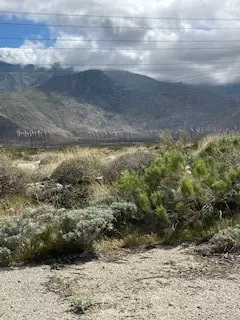 13054 Blue Flag Rd, Whitewater, CA 92282 photo 2