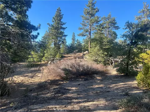 45 Deep Creek Dr, Running Springs, CA 92382
