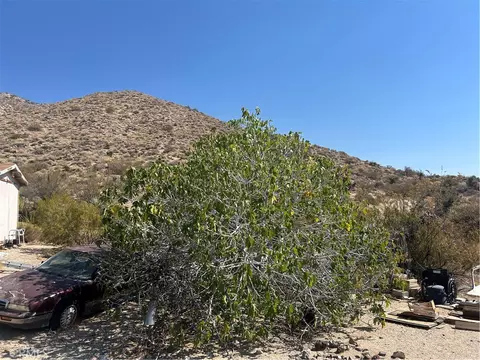 50212 Cedar Dr, Morongo Valley, CA 92256 photo 19