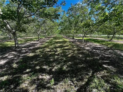 4180 County 203 Rd, Hamilton City, CA 95951