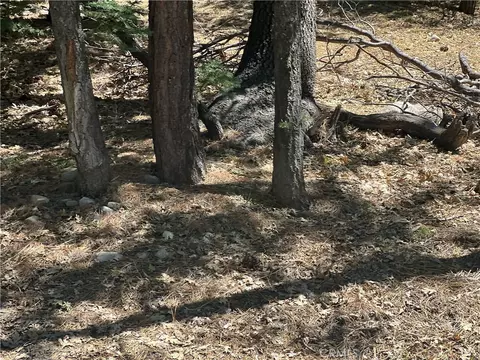 16 Tank, Arrowbear, CA 92382