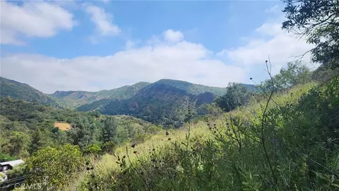 0 Ladd Cyn, Silverado, CA 92676 photo 11