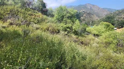 0 Ladd Cyn, Silverado, CA 92676 photo 9