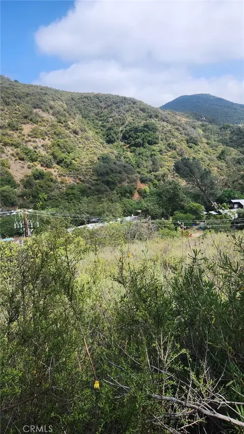 0 Ladd Cyn, Silverado, CA 92676 photo 10
