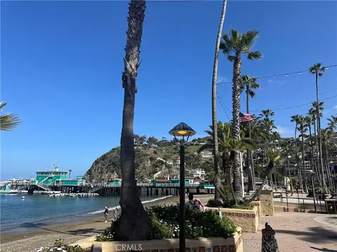 View/Area - 352 Eucalyptus, Avalon, CA 90704 photo 6 of 10