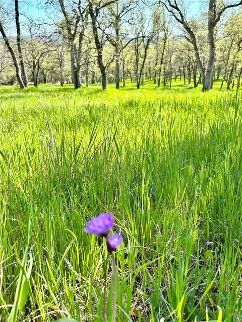 18461 Old Wards Ferry Rd, Sonora, CA 95370