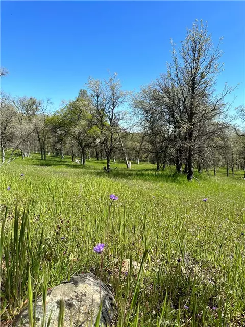 18461 Old Wards Ferry Rd, Sonora, CA 95370 photo 10