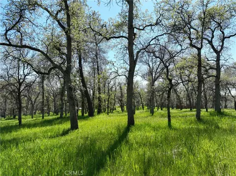 18461 Old Wards Ferry Rd, Sonora, CA 95370 photo 14