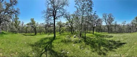18461 Old Wards Ferry Rd, Sonora, CA 95370 photo 7