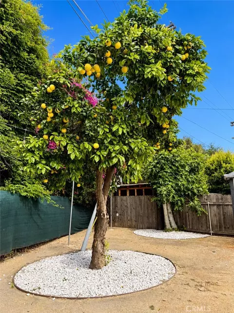 Exterior - 4538 Tujunga Ave, Studio City, CA 91602 photo 8 of 12