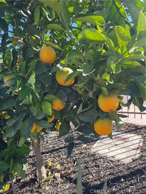 Other - 5746 Tilton, Jurupa Valley, CA 92509 photo 9 of 12