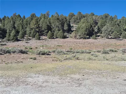 2787 Erwin Rnch, Big Bear City, CA 92314