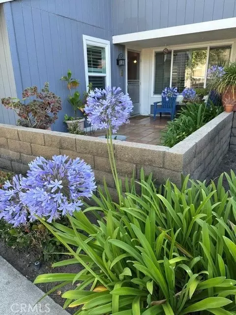 29562 Brook Ct, San Juan Capistrano, CA 92675