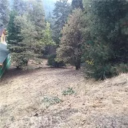 23795 Zuger, Crestline, CA 92325