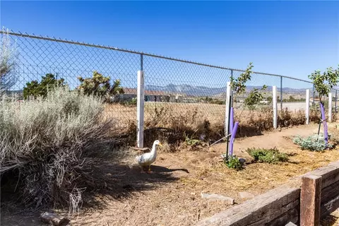Exterior - 8650 Cowberry, Phelan, CA 92371 photo 11 of 19