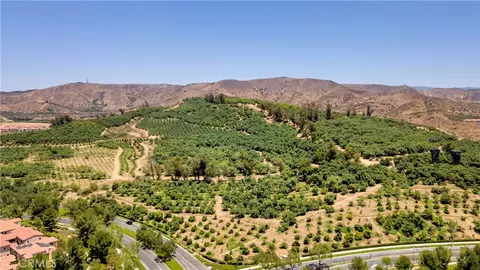 View/Area - 128 Talmadge, Irvine, CA 92602 photo 7 of 8