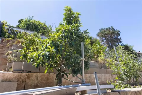Other - 835 Raintree Pl, Vista, CA 92084 photo 5 of 12