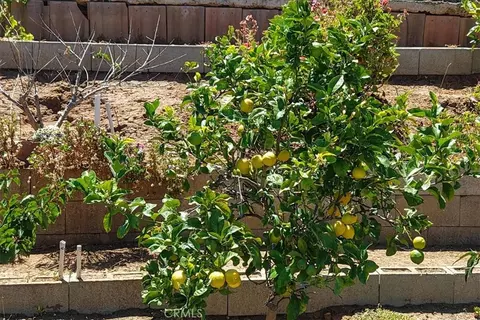 Other - 835 Raintree Pl, Vista, CA 92084 photo 7 of 12