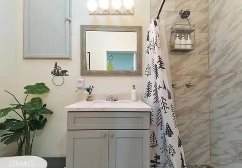 Bath - 582 Rose Ln, Twin Peaks, CA 92391 photo 8 of 11